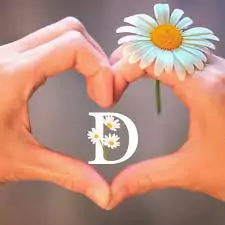 d letter d letter